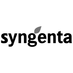 Logo, Syngenta, Empresa, Equipos, Infova, Instituto de Formación Avanzada, Liderazgo y Coaching, Empresa, Equipos